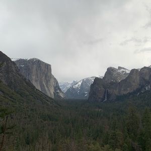 Meet your Posher, Austin